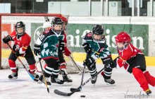 img-piratencup-fotos-vanna-20180901-038-220c-140c